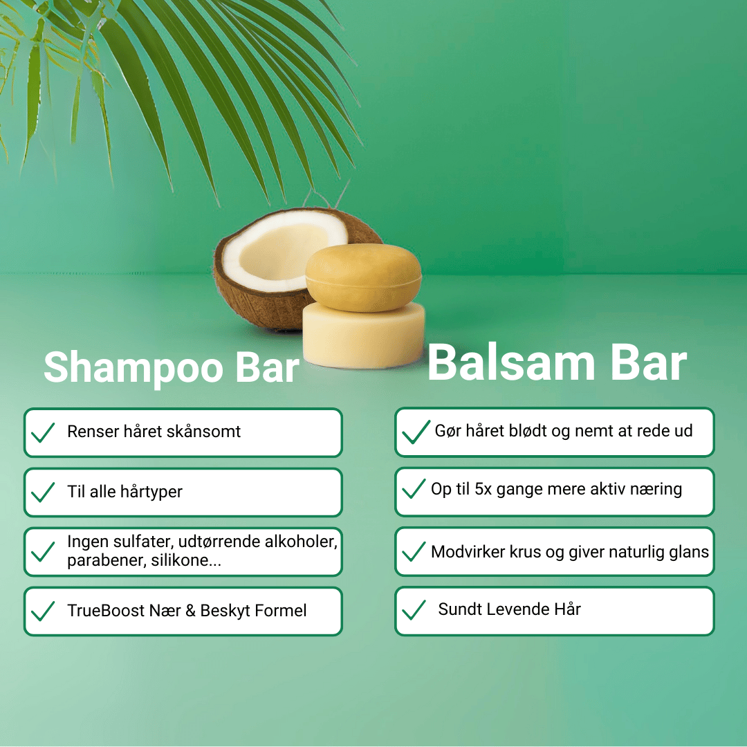 Shampoo Bar